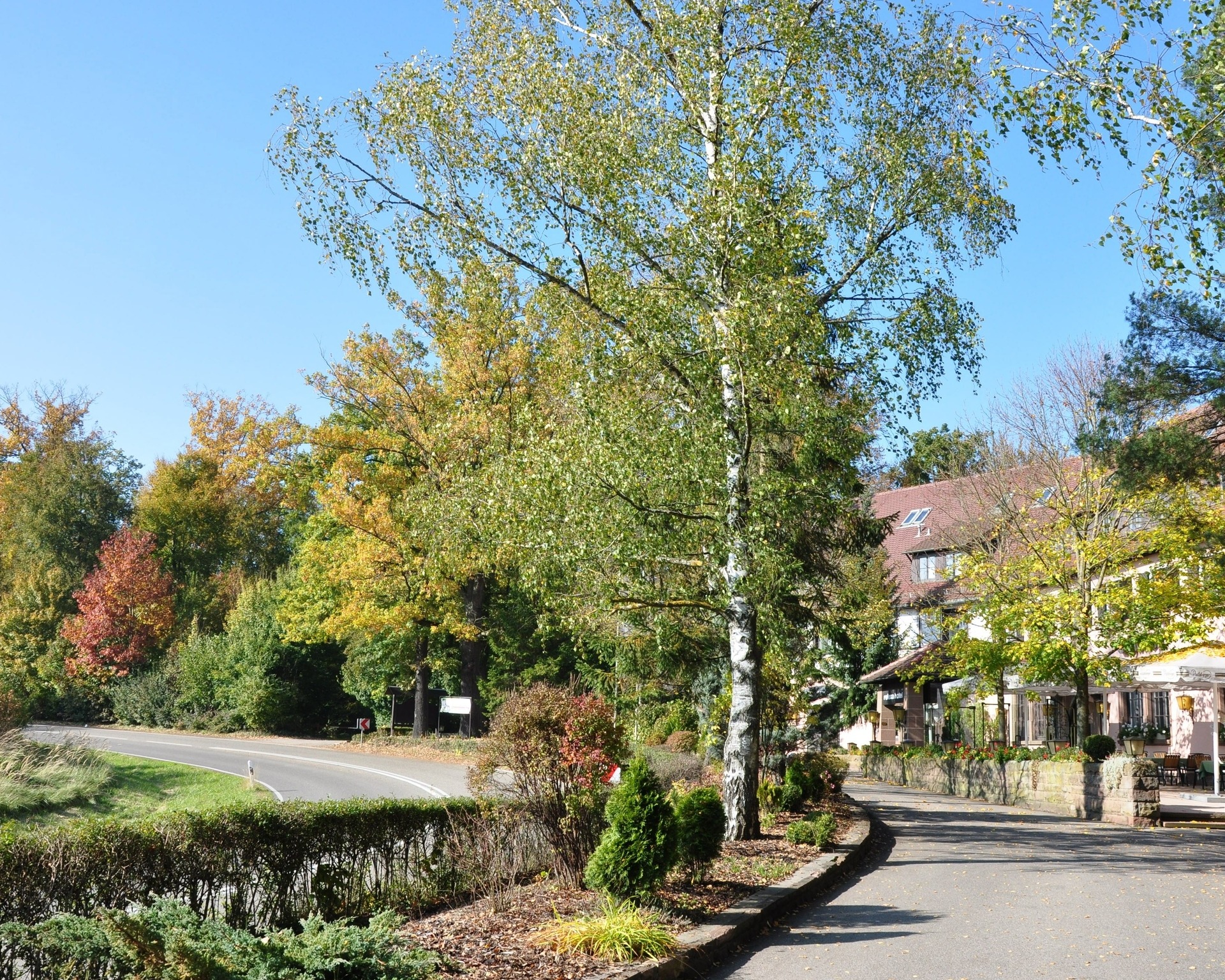 Außenansicht relexa Waldhotel Schatten